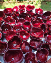Load image into Gallery viewer, Organic Kokum Fruit Peel