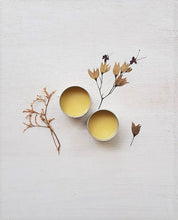Load image into Gallery viewer, Organic  Skin Salve