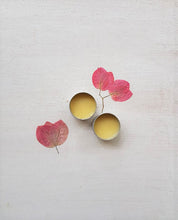 Load image into Gallery viewer, Organic  Skin Salve