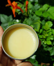 Load image into Gallery viewer, Organic  Skin Salve