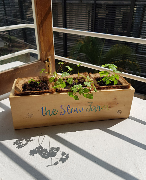 indoor herb box planter Organic Planter Kit – The Slow Farm